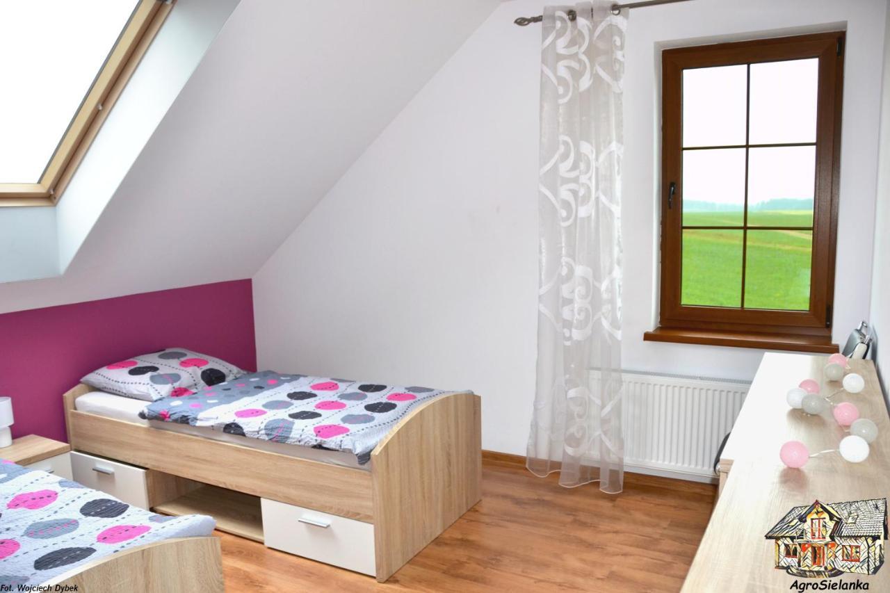 Villa Agrosielanka Lipnica  Esterno foto